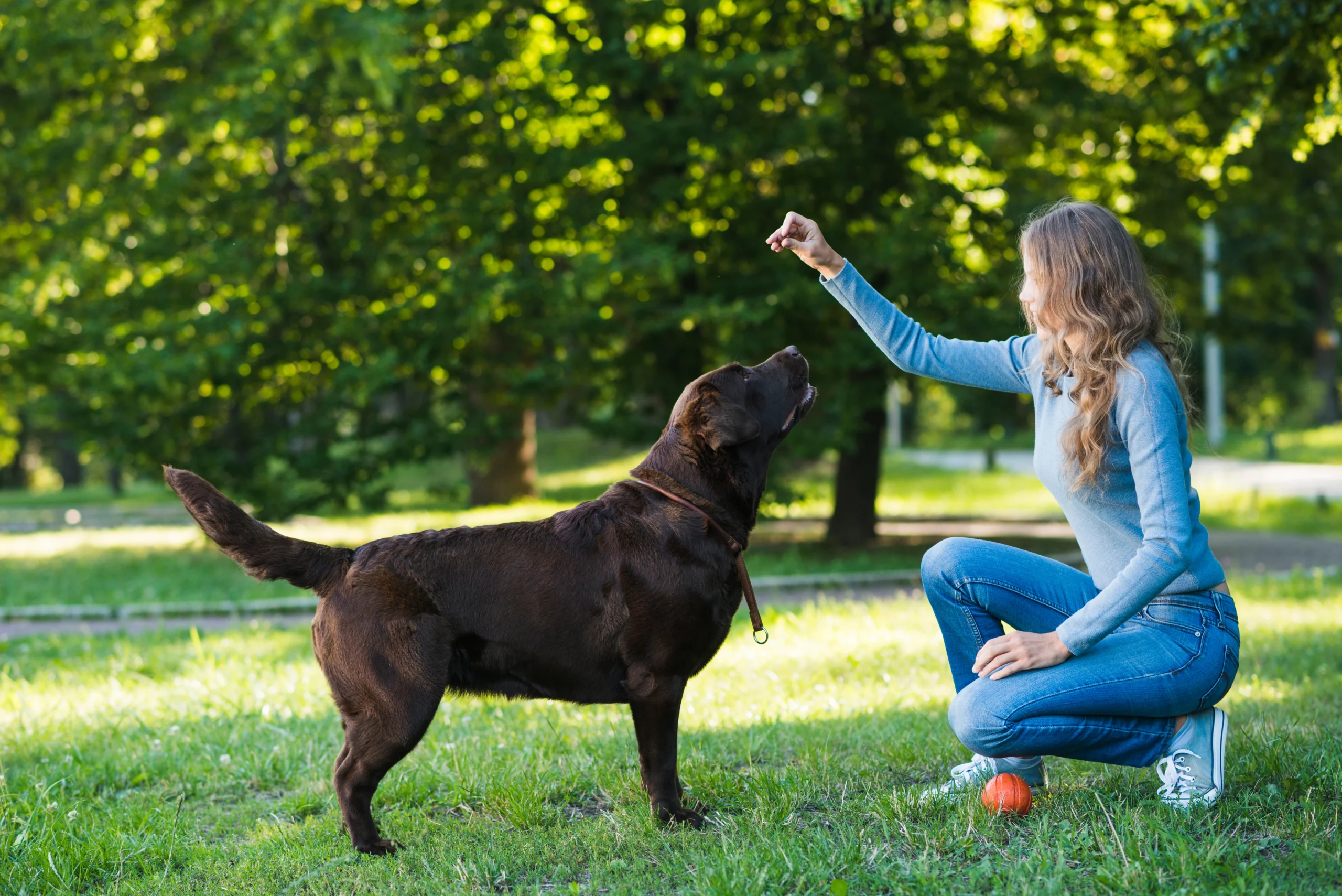 Dueña jugando con su perro
